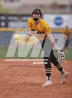 Photo from the gallery "Saguaro @ Desert Mountain "