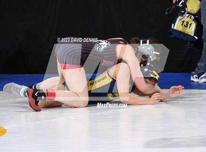 Thumbnail 1 in CIF State Girls Wrestling Championships (QuarterFinals) photogallery.