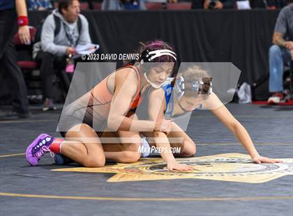 Thumbnail 2 in CIF State Girls Wrestling Championships (QuarterFinals) photogallery.