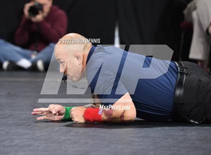 Thumbnail 1 in CIF State Girls Wrestling Championships (QuarterFinals) photogallery.