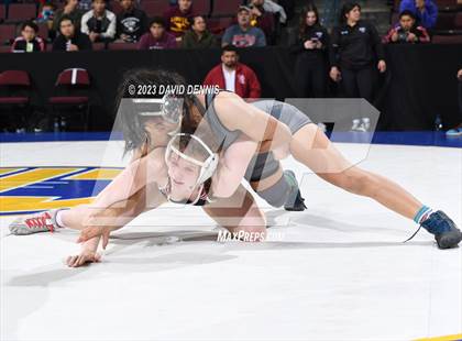 Thumbnail 1 in CIF State Girls Wrestling Championships (QuarterFinals) photogallery.