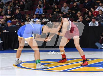 Thumbnail 1 in CIF State Girls Wrestling Championships (QuarterFinals) photogallery.