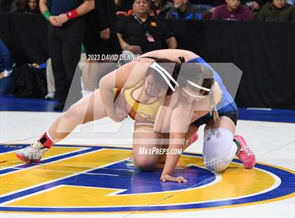 Thumbnail 2 in CIF State Girls Wrestling Championships (QuarterFinals) photogallery.