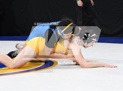 Thumbnail 1 in CIF State Girls Wrestling Championships (QuarterFinals) photogallery.