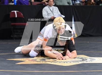 Thumbnail 1 in CIF State Girls Wrestling Championships (QuarterFinals) photogallery.