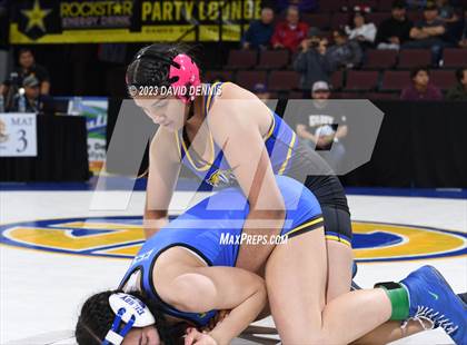Thumbnail 1 in CIF State Girls Wrestling Championships (QuarterFinals) photogallery.