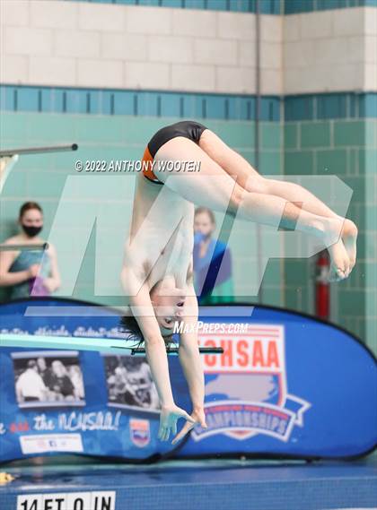 Thumbnail 1 in NCHSAA 3A State Diving Championships photogallery.