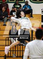 Photo from the gallery "River City @ Monterey Trail"