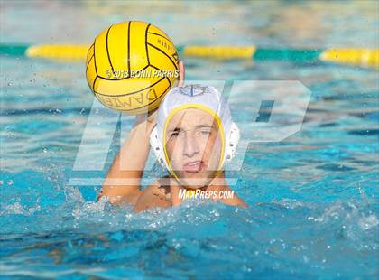 Thumbnail 1 in Los Osos @ Damien photogallery.