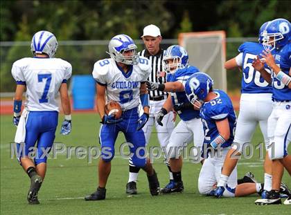 Thumbnail 1 in Ludlowe @ Darien photogallery.