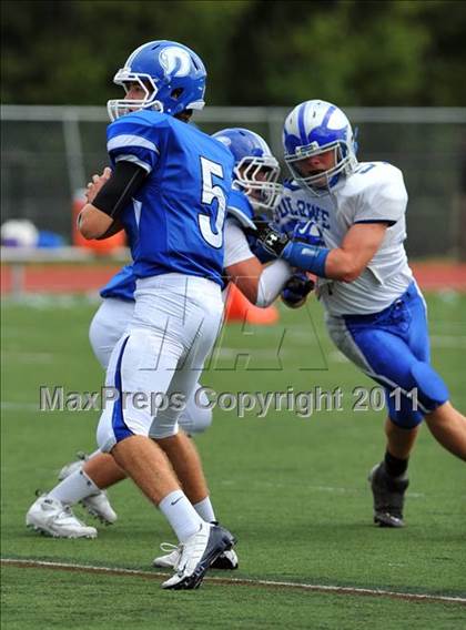 Thumbnail 3 in Ludlowe @ Darien photogallery.
