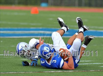 Thumbnail 2 in Ludlowe @ Darien photogallery.