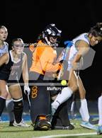 Photo from the gallery "Fitch @ Wilton"