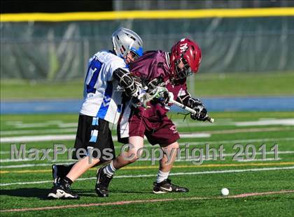 Thumbnail 1 in North Haven @ Bunnell photogallery.