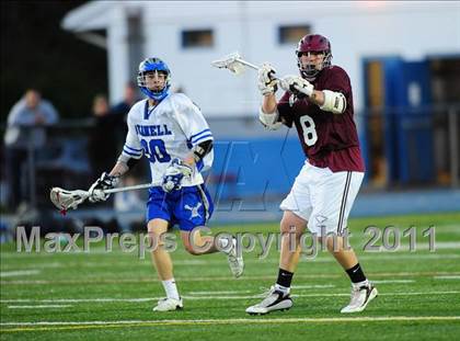 Thumbnail 1 in North Haven @ Bunnell photogallery.