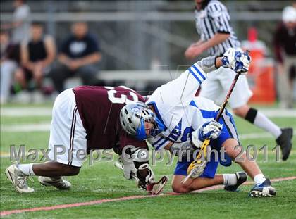 Thumbnail 1 in North Haven @ Bunnell photogallery.