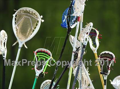 Thumbnail 3 in North Haven @ Bunnell photogallery.
