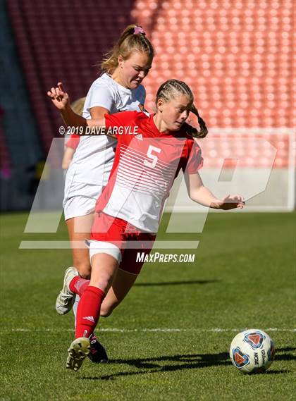 Thumbnail 1 in Manti vs. Judge Memorial (UHSAA 3A Final) photogallery.