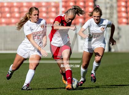 Thumbnail 3 in Manti vs. Judge Memorial (UHSAA 3A Final) photogallery.