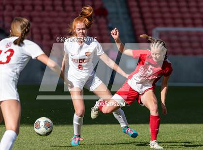 Thumbnail 1 in Manti vs. Judge Memorial (UHSAA 3A Final) photogallery.