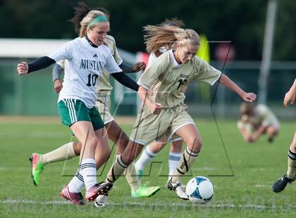 Thumbnail 3 in Absegami @ Mainland Regional photogallery.