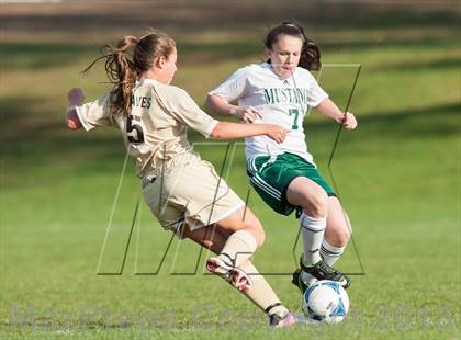 Thumbnail 2 in Absegami @ Mainland Regional photogallery.