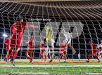 Photo from the gallery "Wilcox @ Willow Glen"