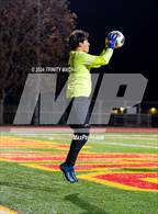 Photo from the gallery "Wilcox @ Willow Glen"