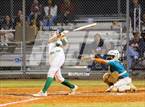 Photo from the gallery "Plant City @ Sumner"