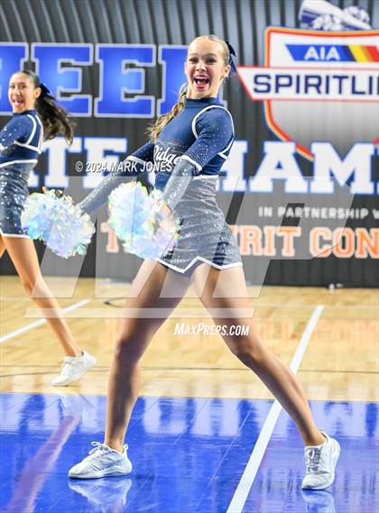 Thumbnail 2 in Ironwood Ridge - Dance Game Day Championships (AIA Division I and II) photogallery.