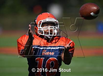 Thumbnail 2 in Valhalla @ Briarcliff/Hamilton photogallery.