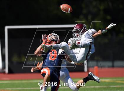 Thumbnail 3 in Valhalla @ Briarcliff/Hamilton photogallery.