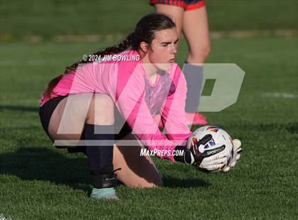 Thumbnail 2 in Rochester @ Mahomet-Seymour photogallery.