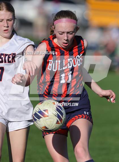 Thumbnail 2 in Rochester @ Mahomet-Seymour photogallery.
