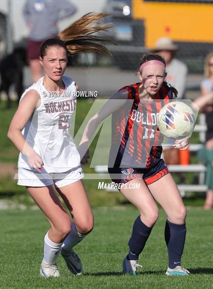 Thumbnail 3 in Rochester @ Mahomet-Seymour photogallery.