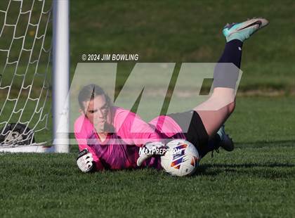 Thumbnail 2 in Rochester @ Mahomet-Seymour photogallery.