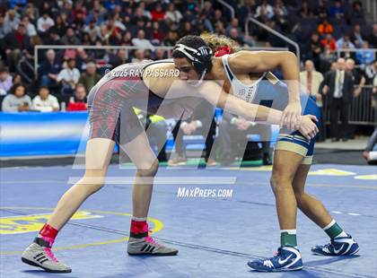 Thumbnail 1 in NYSPHSAA Finals (101 lbs - 124 lbs) photogallery.