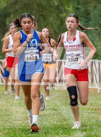 Thumbnail 2 in UIL 2A Girls Cross Country Finals photogallery.