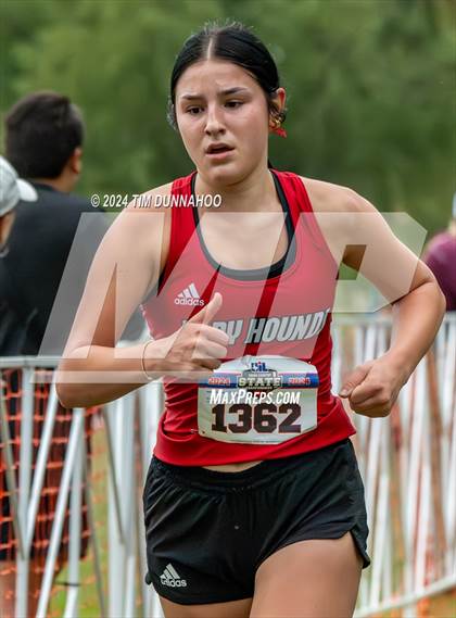 Thumbnail 2 in UIL 2A Girls Cross Country Finals photogallery.