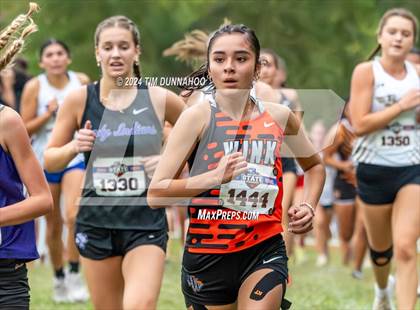 Thumbnail 1 in UIL 2A Girls Cross Country Finals photogallery.