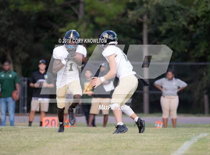 Thumbnail 3 in Oak Ridge @ Ocoee photogallery.