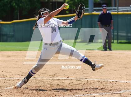 Thumbnail 3 in Marcus @ Hebron photogallery.