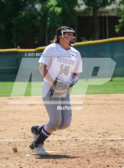 Thumbnail 1 in Marcus @ Hebron photogallery.