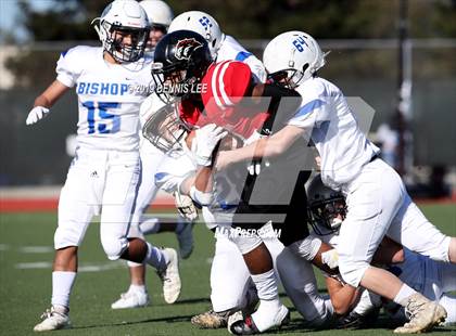 Thumbnail 2 in Bishop Union vs. Salesian College Preparatory (CIF State D6-A Final) photogallery.