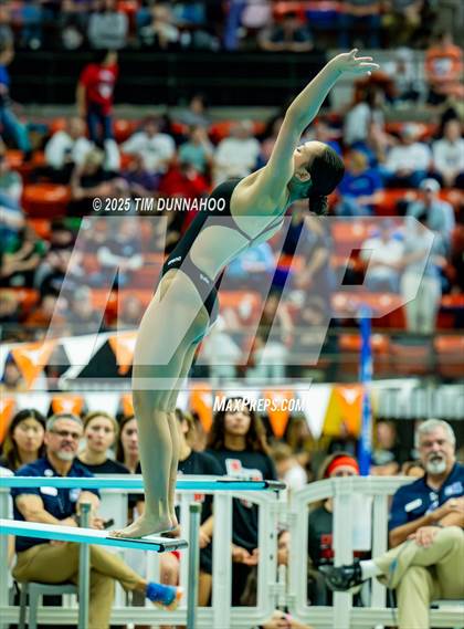 Thumbnail 1 in UIL 6A Swimming & Diving Finals (Diving) photogallery.