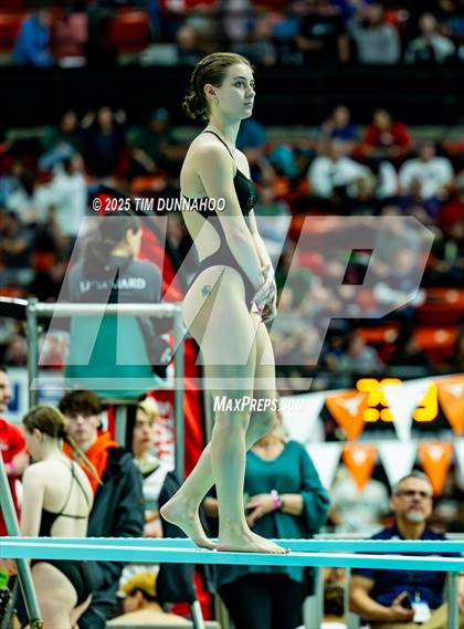 Thumbnail 1 in UIL 6A Swimming & Diving Finals (Diving) photogallery.
