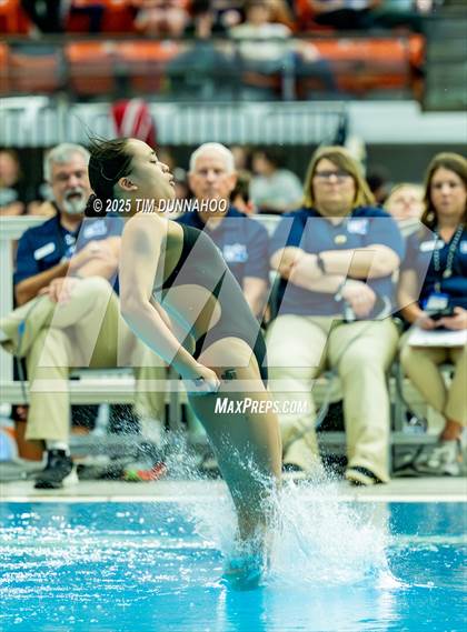 Thumbnail 3 in UIL 6A Swimming & Diving Finals (Diving) photogallery.