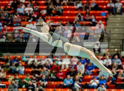 Thumbnail 2 in UIL 6A Swimming & Diving Finals (Diving) photogallery.