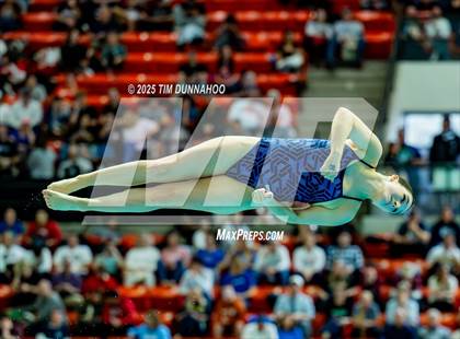 Thumbnail 1 in UIL 6A Swimming & Diving Finals (Diving) photogallery.