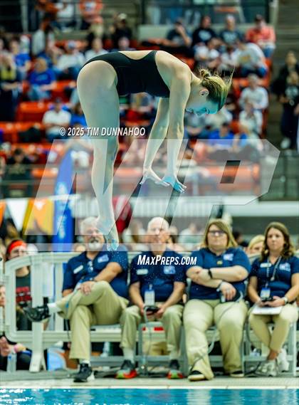 Thumbnail 3 in UIL 6A Swimming & Diving Finals (Diving) photogallery.